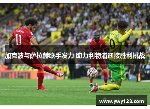 加克波与萨拉赫联手发力 助力利物浦迎接胜利挑战