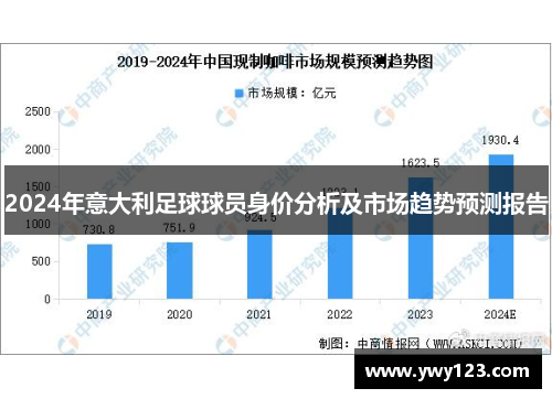 2024年意大利足球球员身价分析及市场趋势预测报告