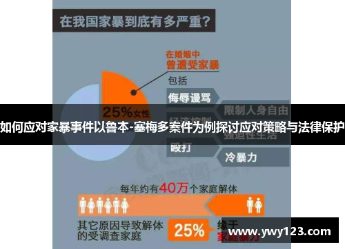 如何应对家暴事件以鲁本-塞梅多案件为例探讨应对策略与法律保护