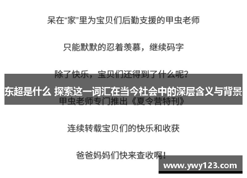 东超是什么 探索这一词汇在当今社会中的深层含义与背景
