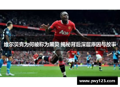 维尔贝克为何被称为黑贝 揭秘背后深层原因与故事